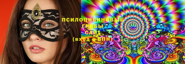 шишки Алзамай