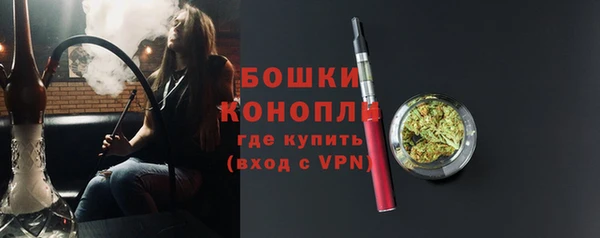 шишки Алзамай