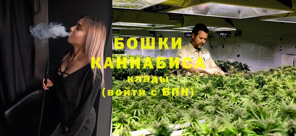 шишки Алзамай