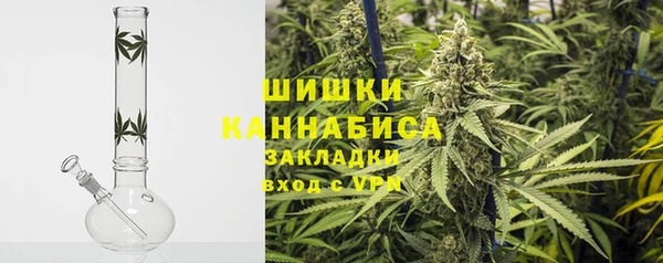 шишки Алзамай