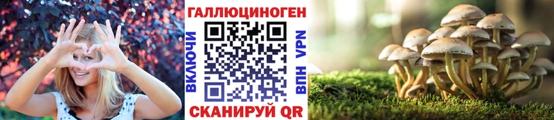где купить наркоту  Берёзовский  mega как войти  Галлюциногенные грибы Psilocybine cubensis 